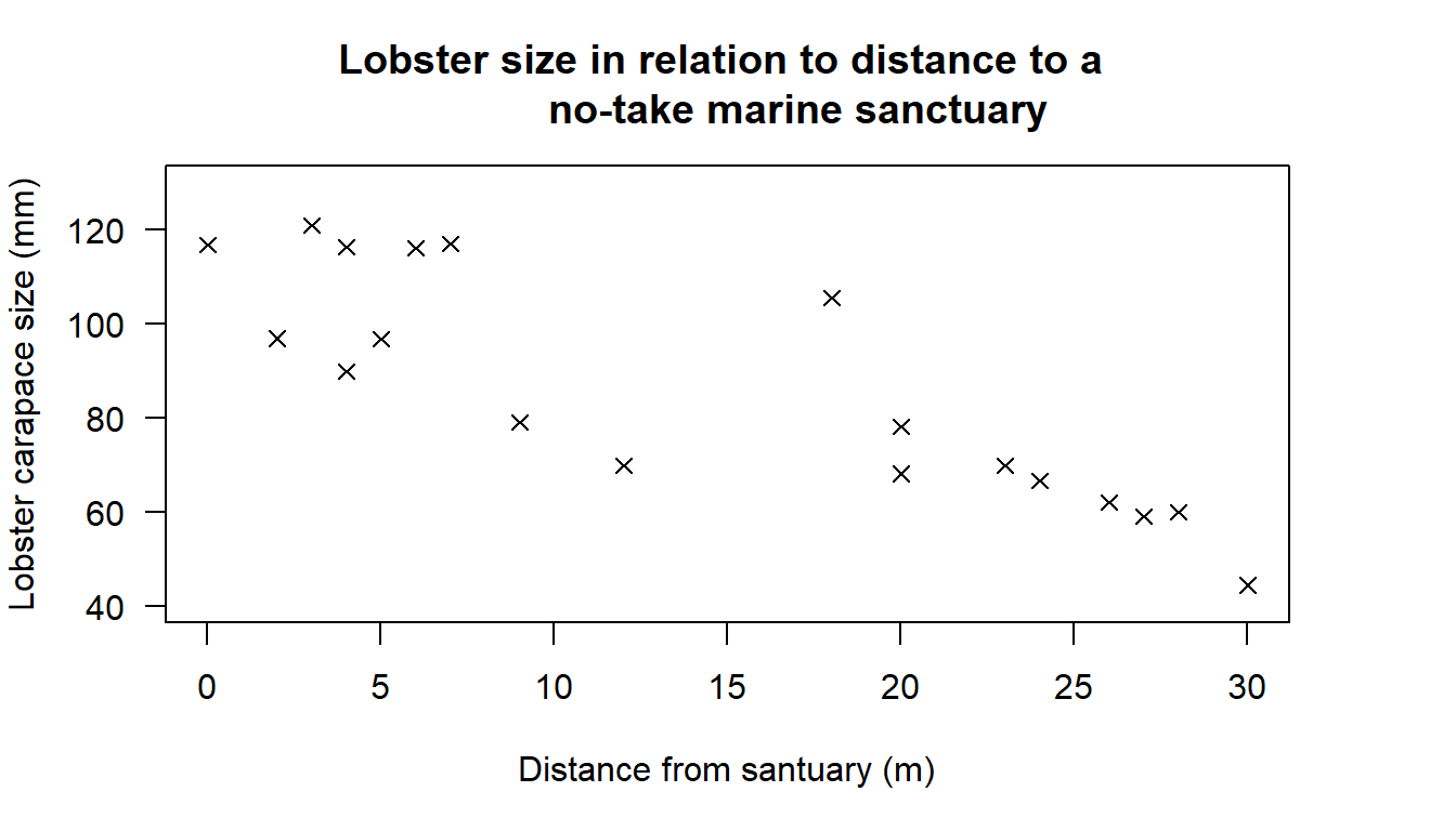 Scatter plot showing the relationship between distance to a no-take marine sanctuary and lobster carapace sizes.