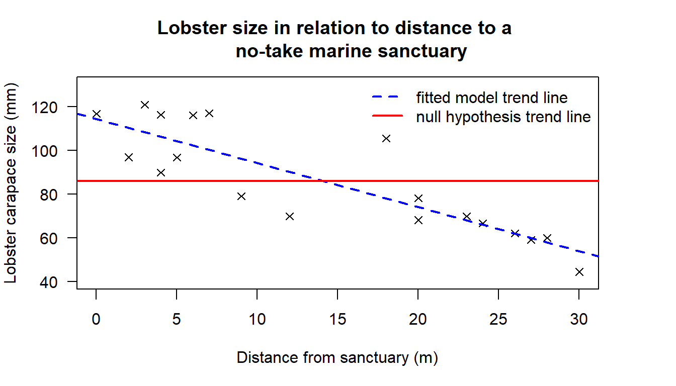 Scatter plot showing the relationship between distance to a no-take marine sanctuary and lobster carapace sizes.